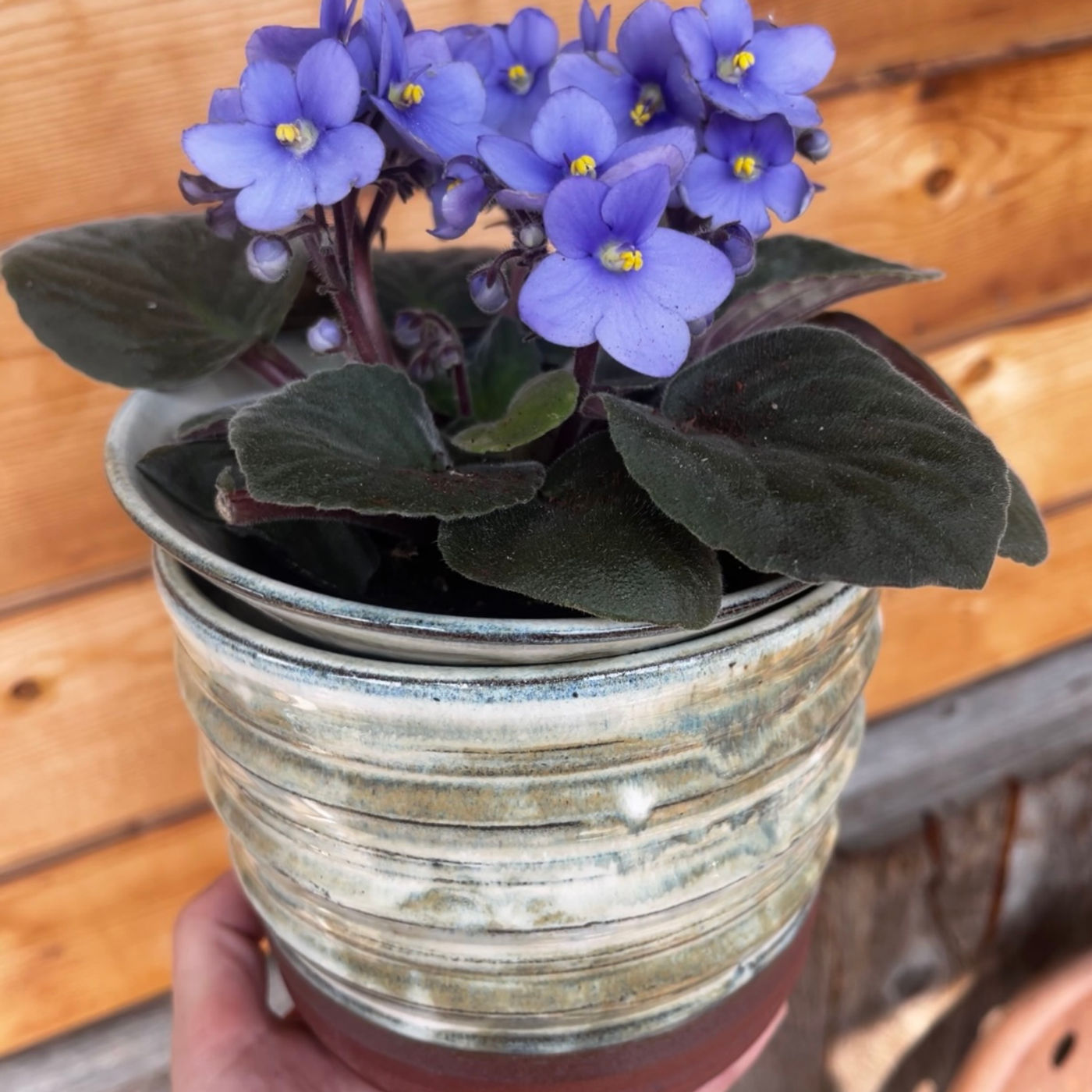 Stormy African Violet Pot